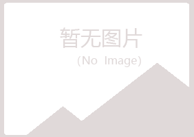 宁夏字迹音乐有限公司